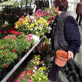 Abeto mujer mirando plantas